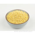 Proso Millet